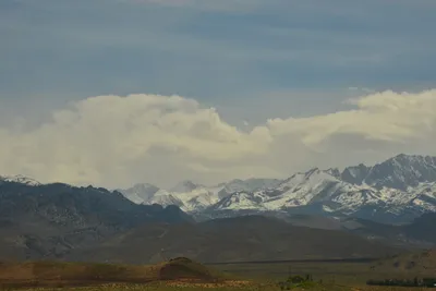 DSC_6599 (Large).JPG